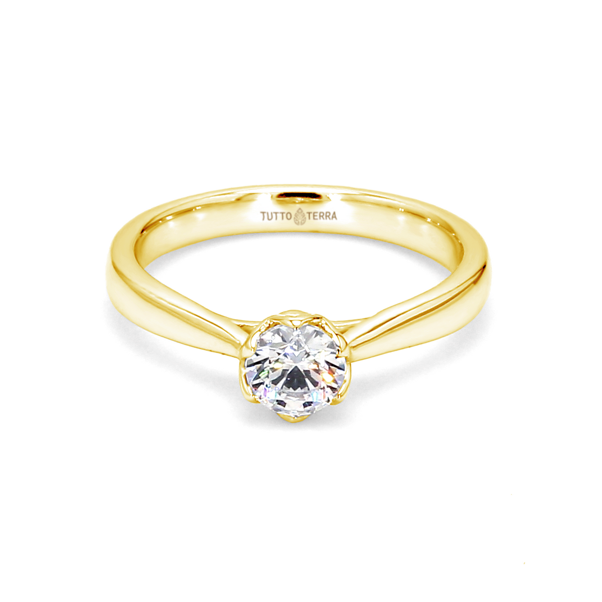 AMSTERDAM - YELLOW GOLD - 14KT